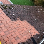 Roof Maintenance 1